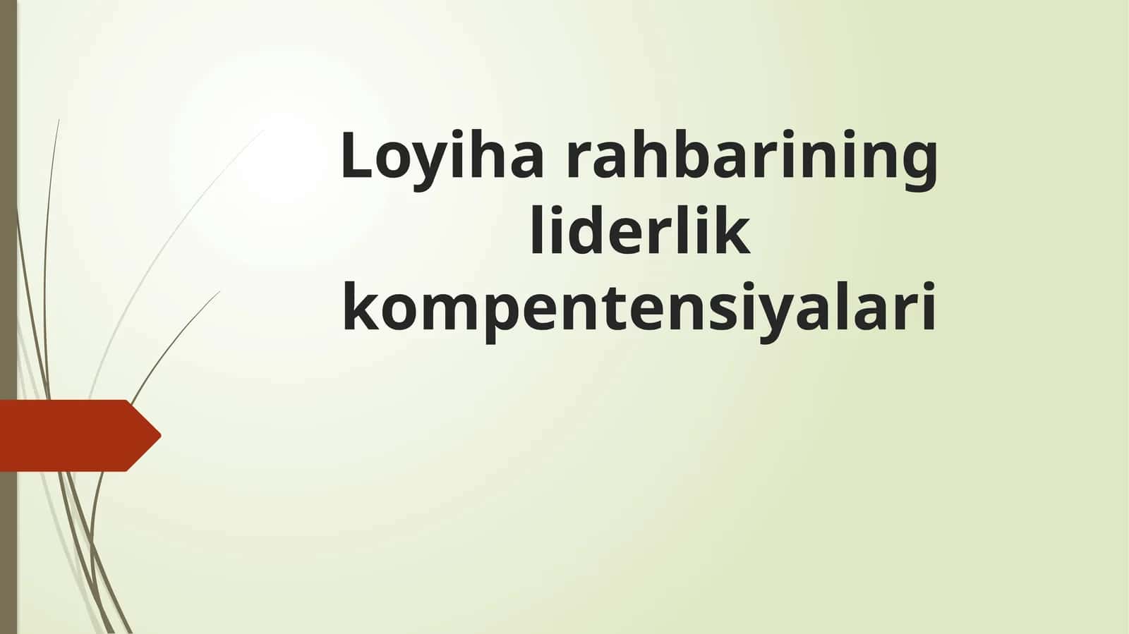 Loyiharahbarining liderlik kompetensiyalari 1