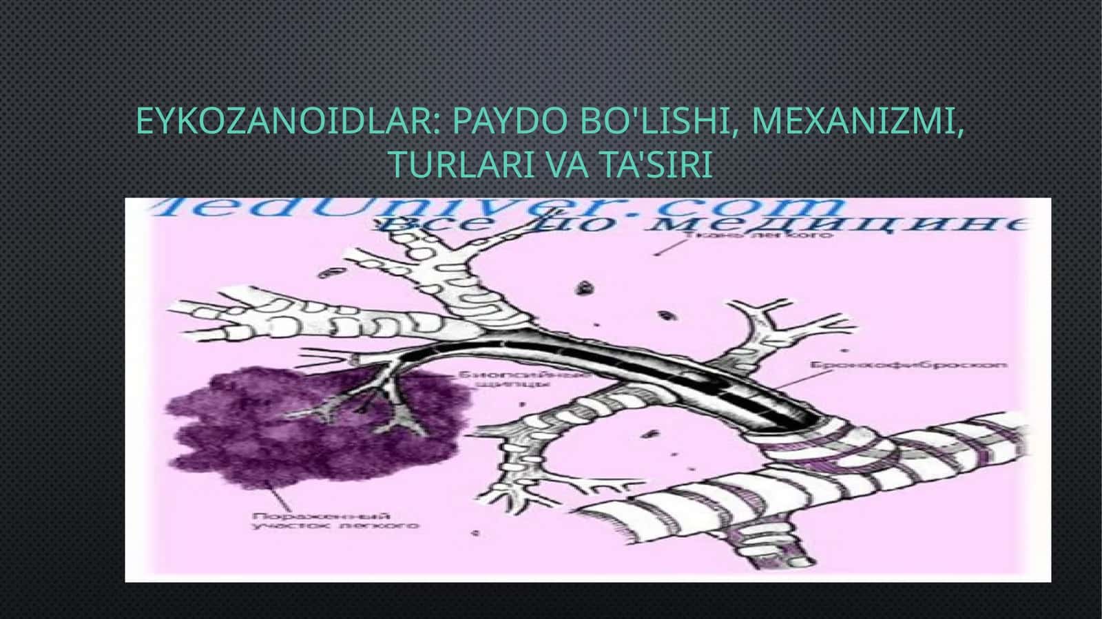 Eykozanoidlar: Paydo Bo'lishi, Mexanizmi, Turlari va Ta'siri 1