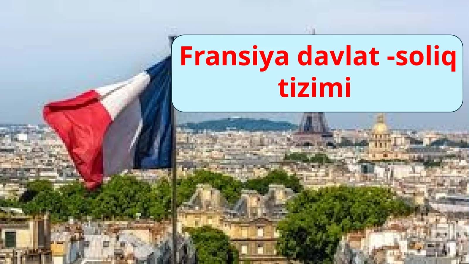 Fransiya davlatining soliq tizimi (tayyor prezentatsiya PPTX) 1