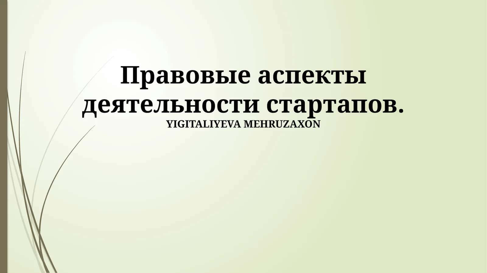 Правовые аспекты деятельности стартапов 1
