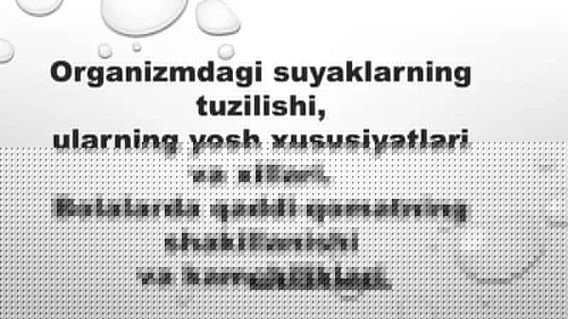 Organizmdagi suyaklarning tuzilishi 1