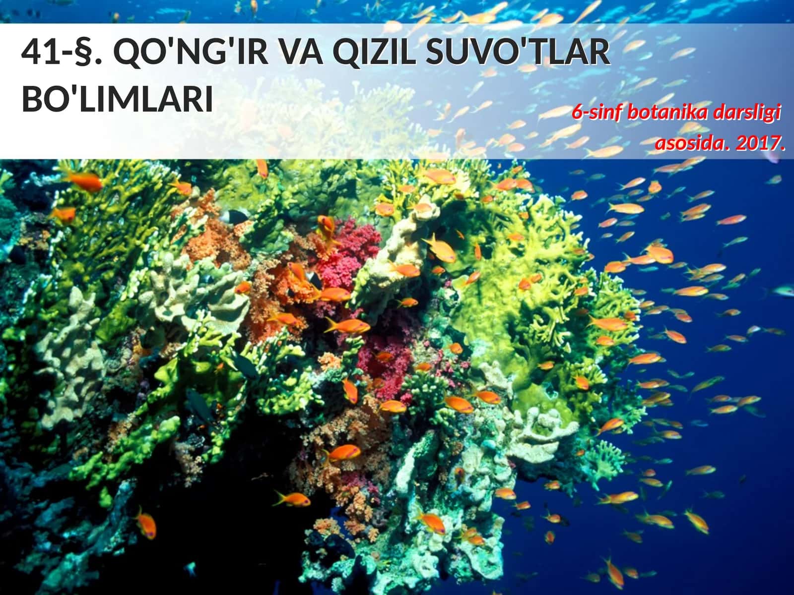 6-sinf Botanika dars ishlanma. Qo'ng'ir va qizil suvo'tlari 1