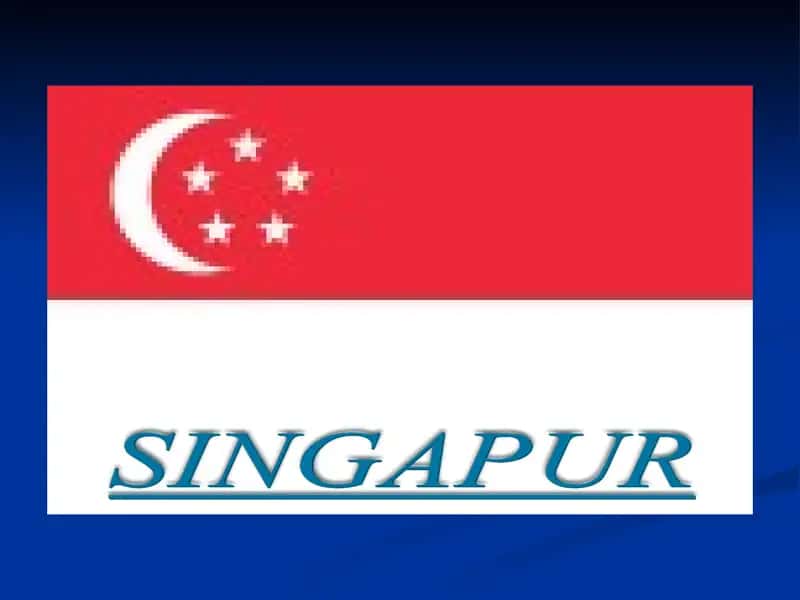 Singapur ta’lim tizimi 1