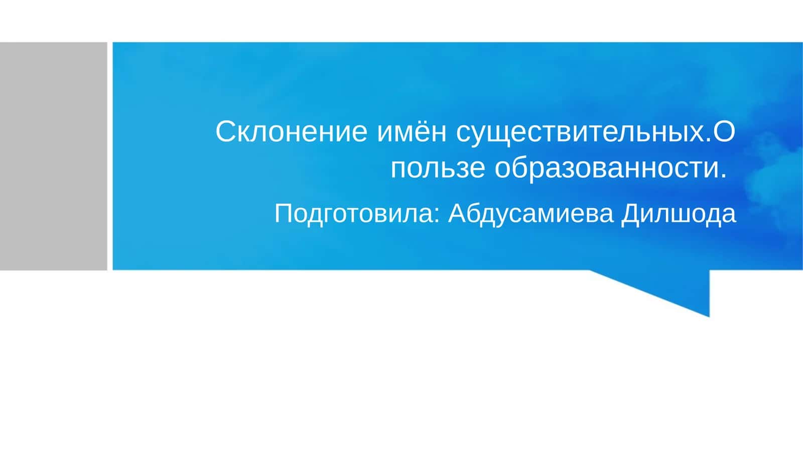Склонение имён существительных 1