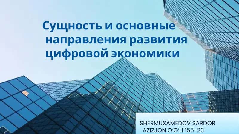 Определение цифровой экономики 1