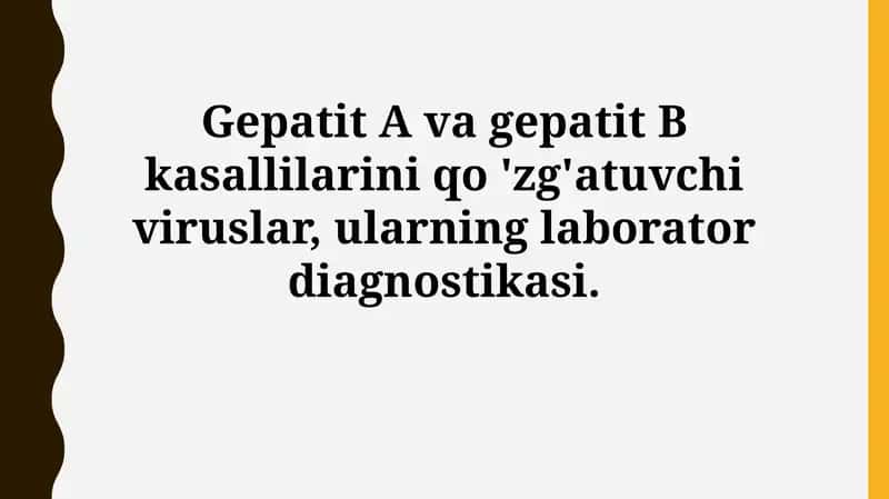 Gepatit A va Gepatit B viruslari 1