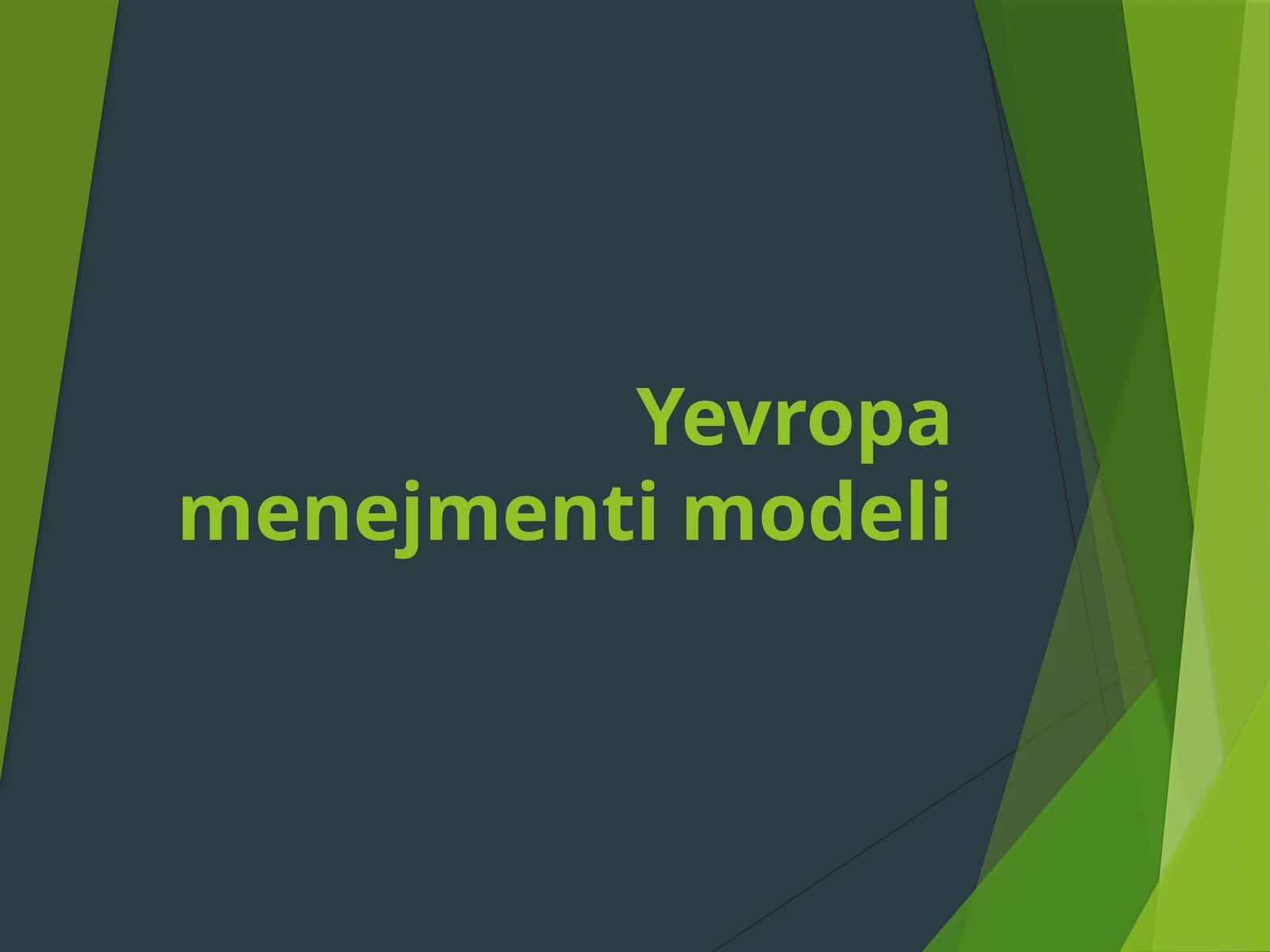 Yevropa menejmenti modeli 1