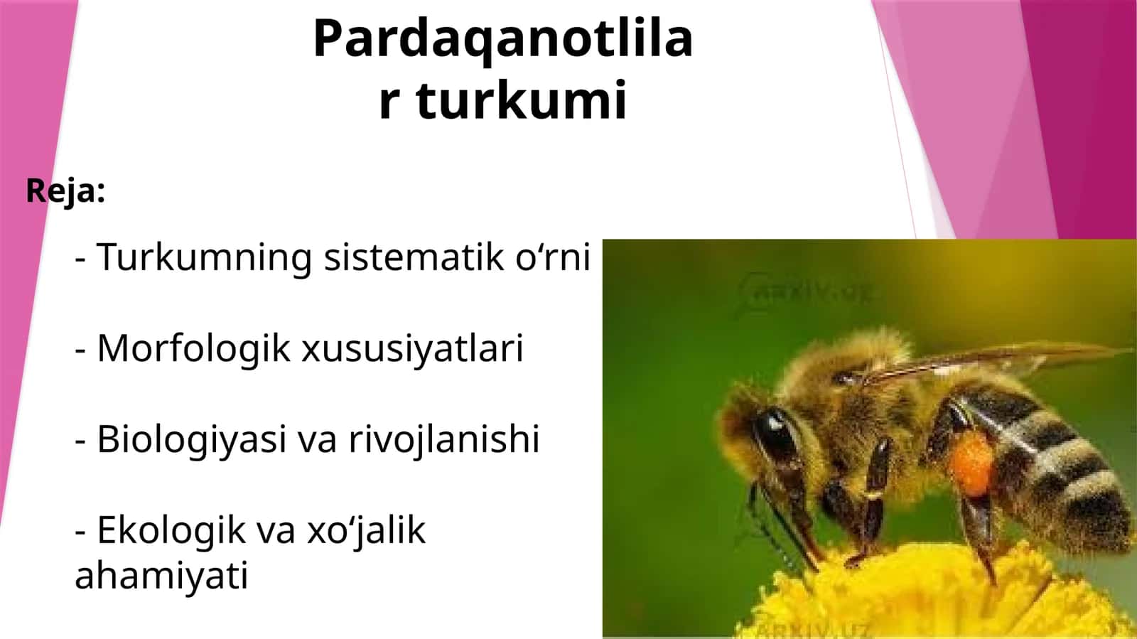 Pardaqanotlilarumumiytavsifi 1