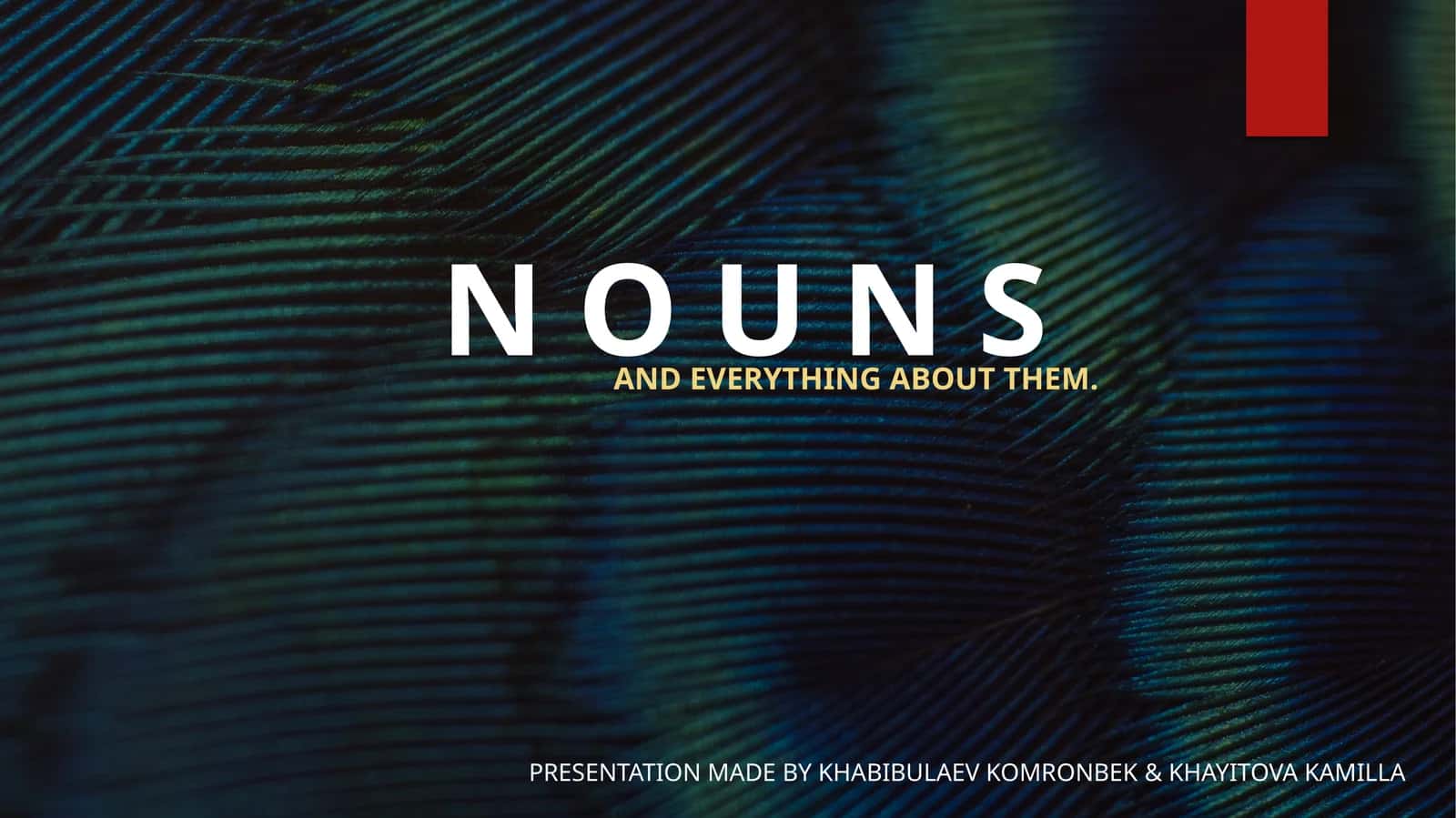 NOUNS 1