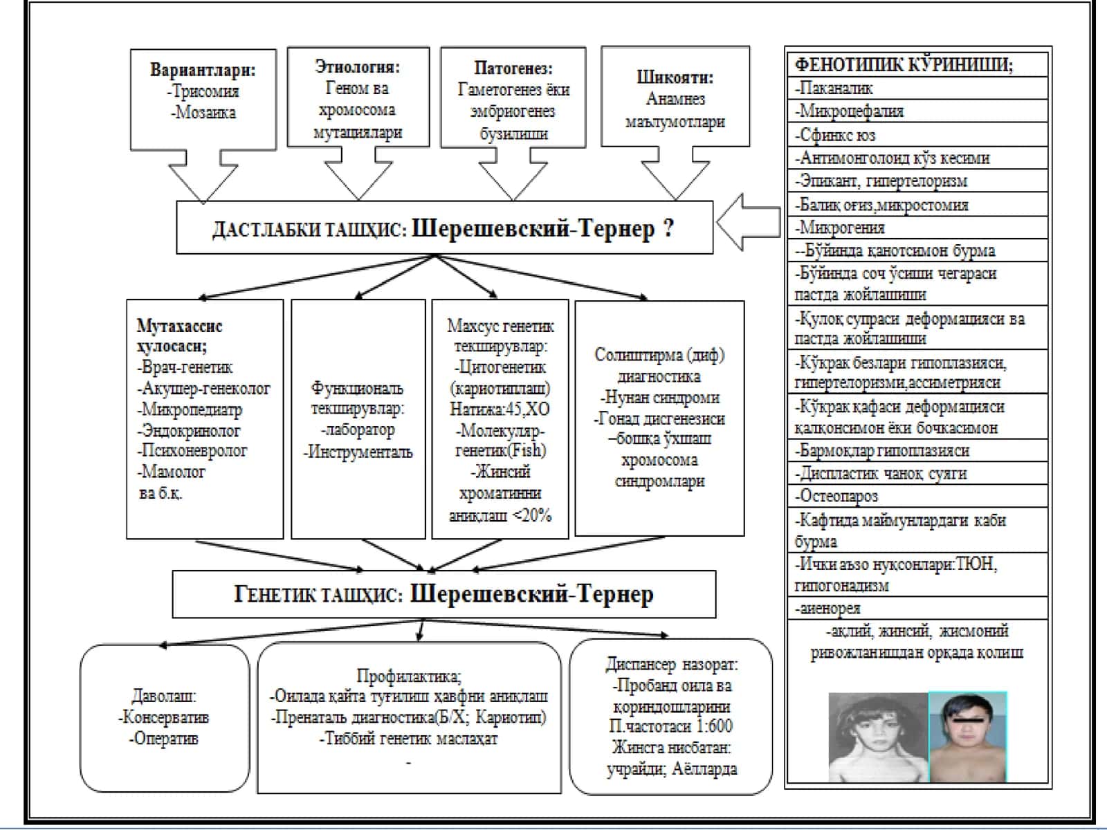 Hypogonadism 1