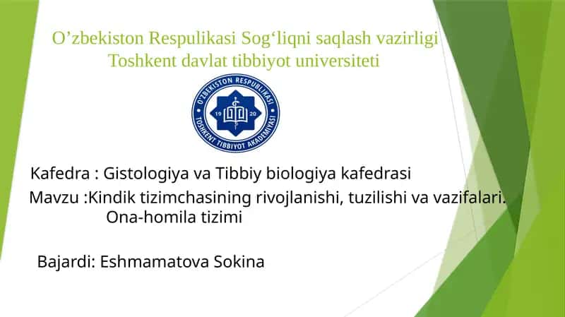 kindik tizimchasi 1