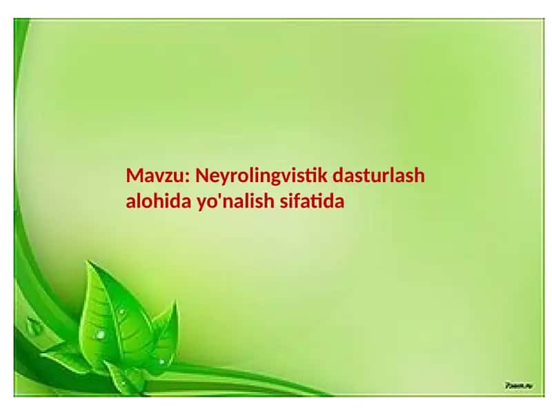 Neyrolingvistik dasturlash alohida yo'nalish sifatida 1
