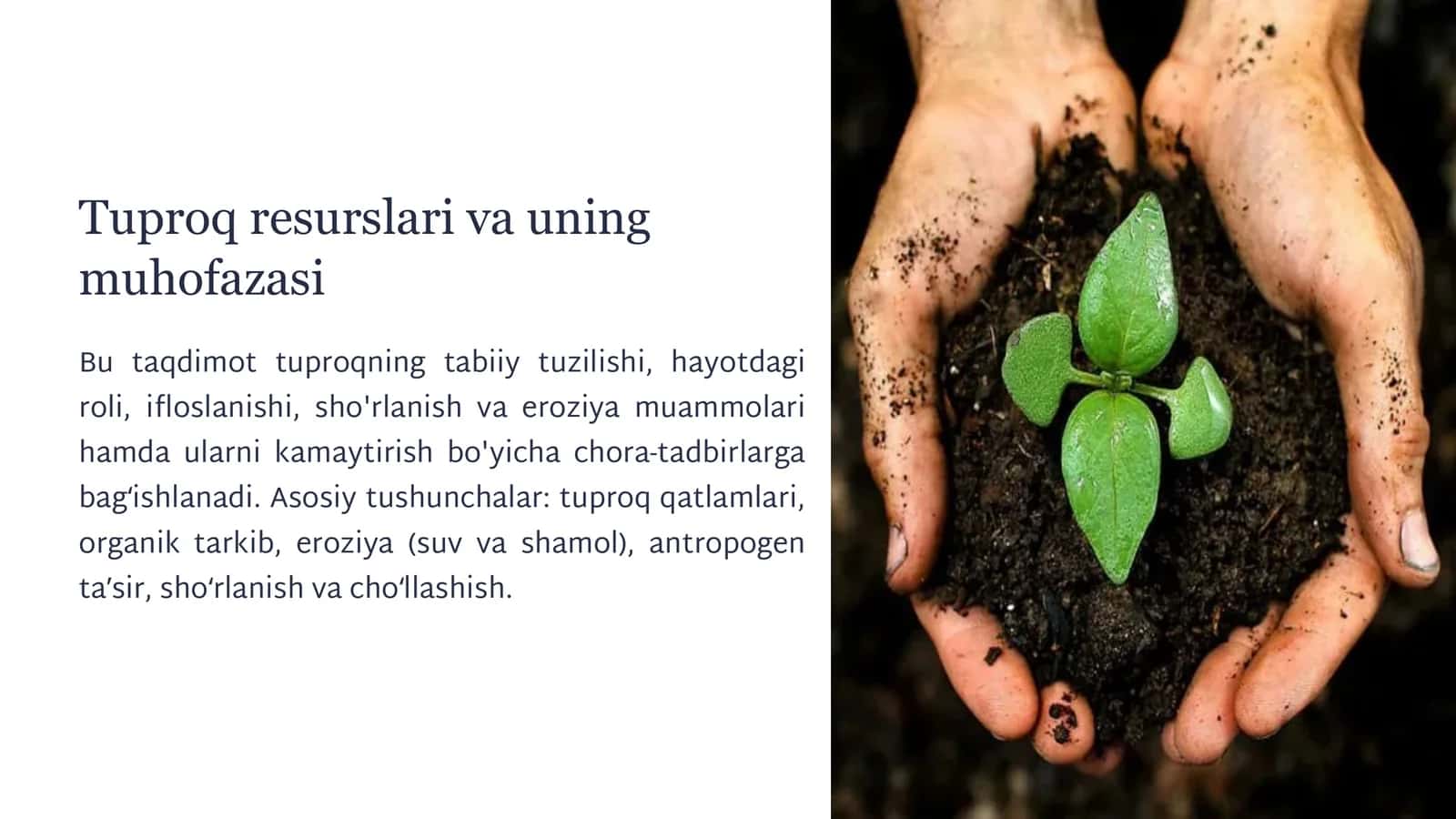 Tuproq resurslari va uning muhofazasi 1