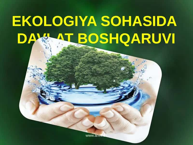 Ekologiya sohasida davlat boshqaruvi 1