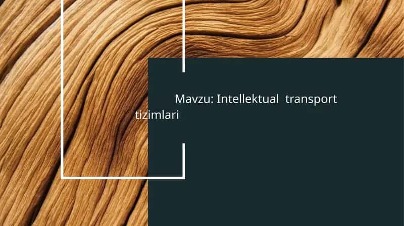 Intellektual  transport tizimlari 1