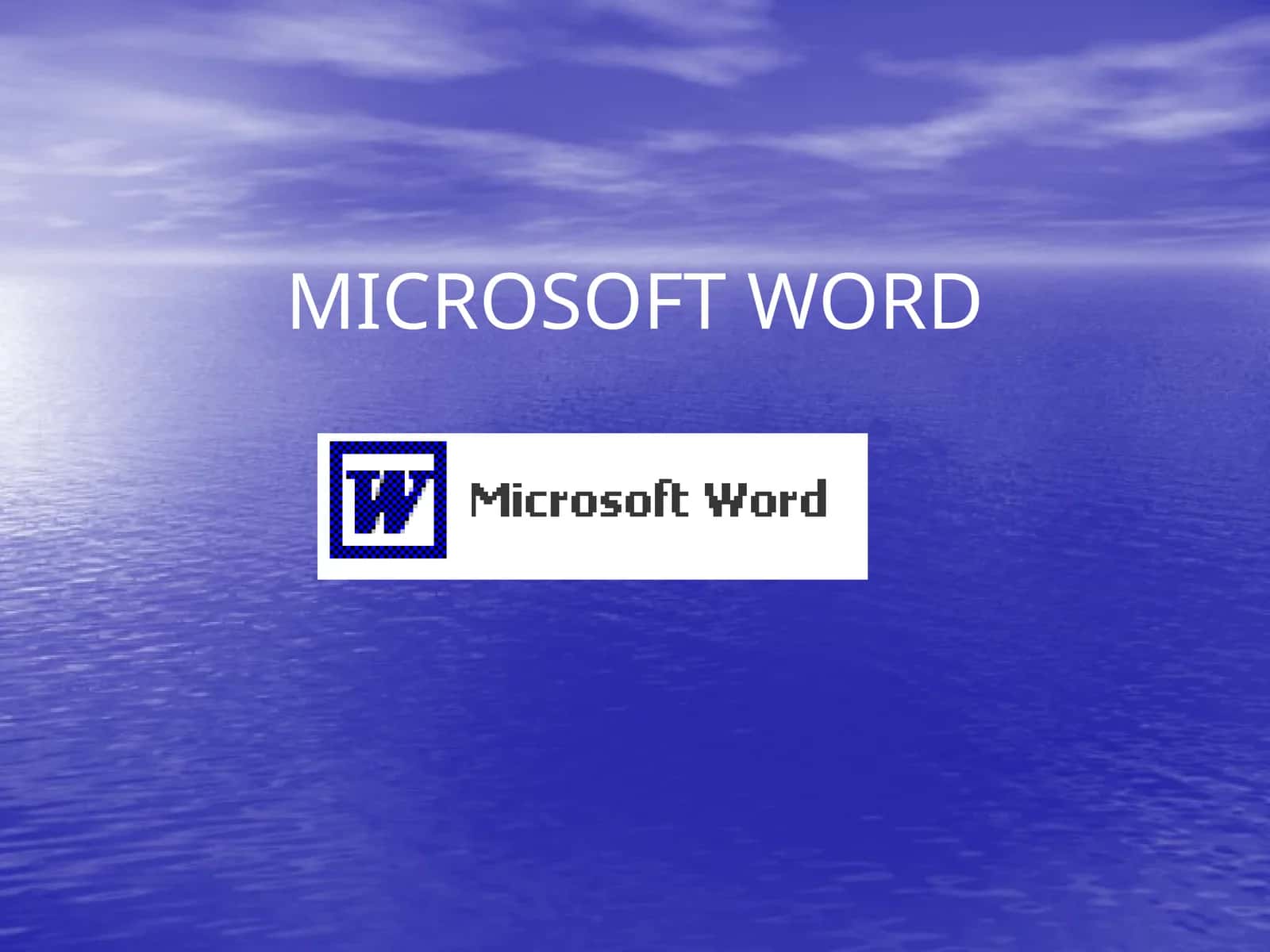 Microsoft Word 1