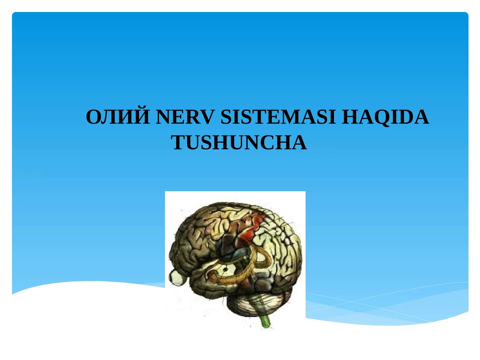 Oliy NERV SISTEMASI HAQIDA TUSHUNCHA 1