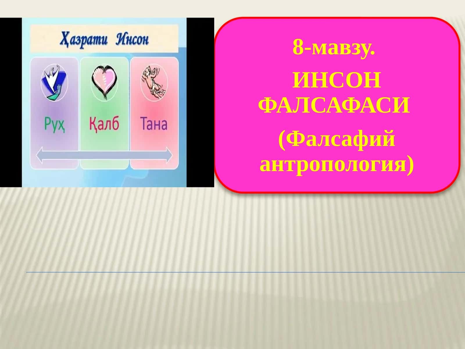•ИНСОН ФАЛСАФАСИ •(Фалсафий антропология) 1