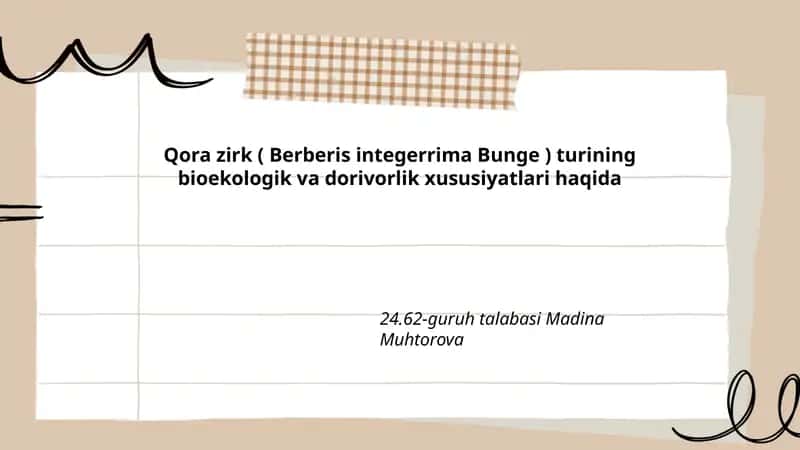 Qora zirk ( Berberis integerrima Bunge ) 1