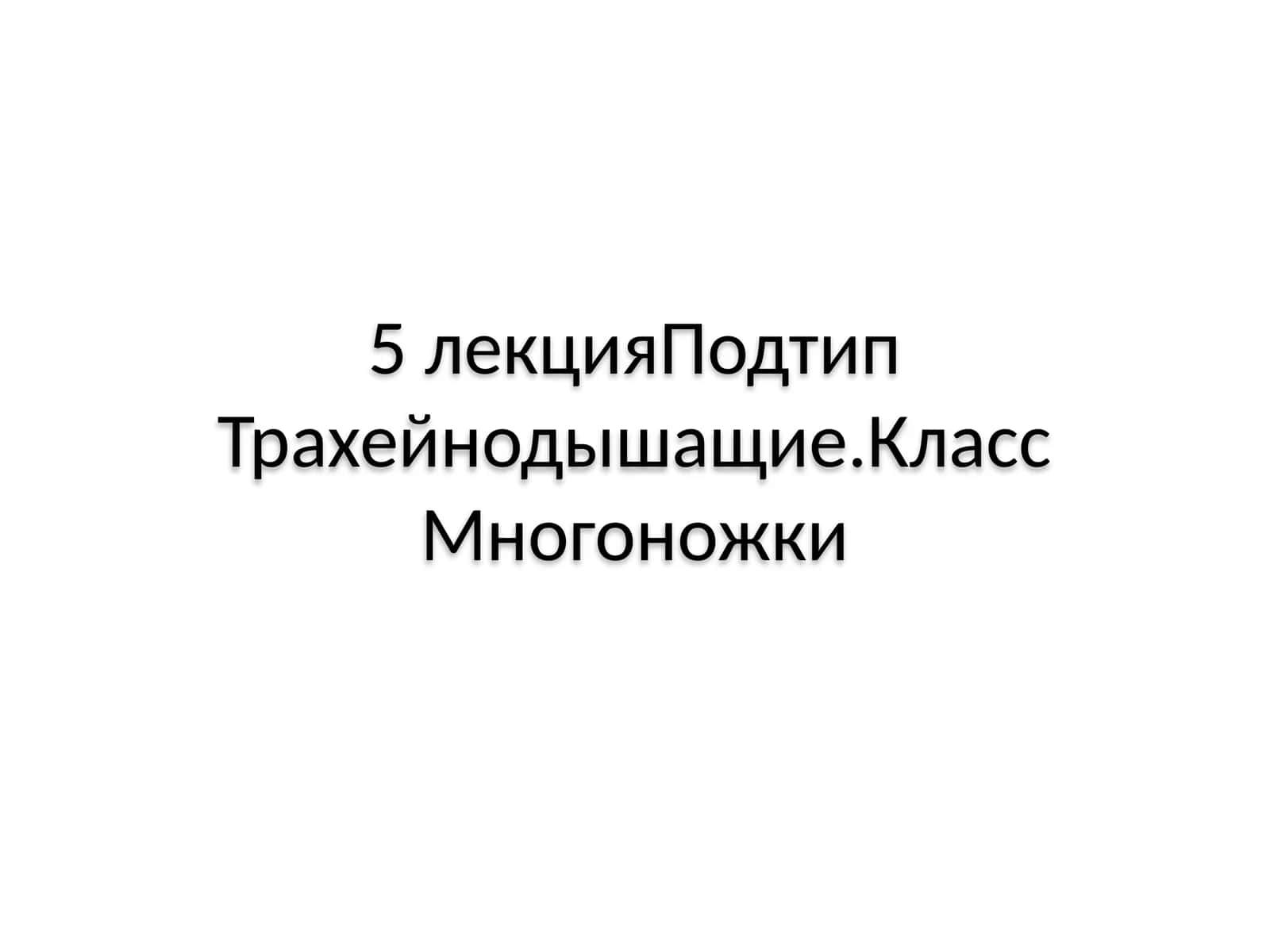 Класс Многоножки (Myriapoda) 1