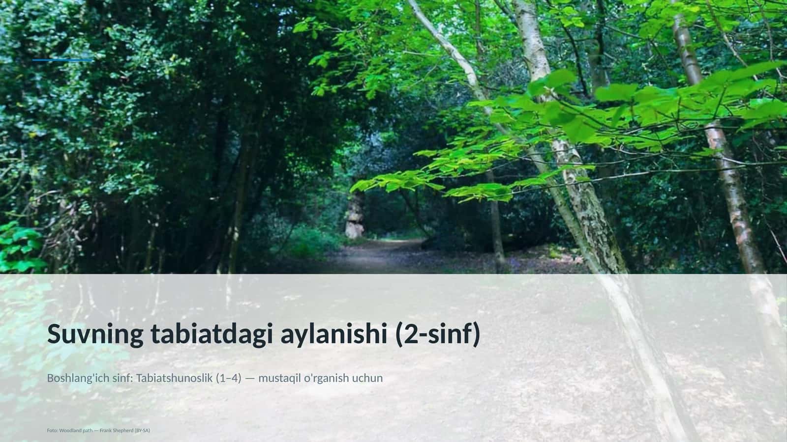 Suvning tabiatdagi aylanishi (2-sinf) 1