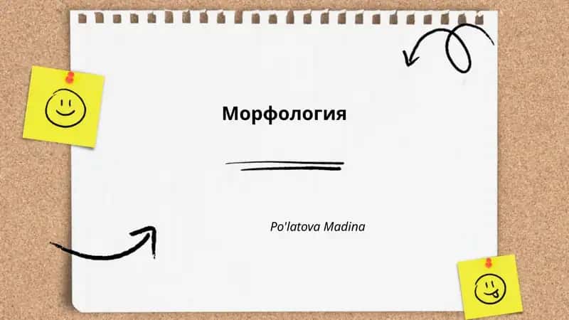 Морфология 1