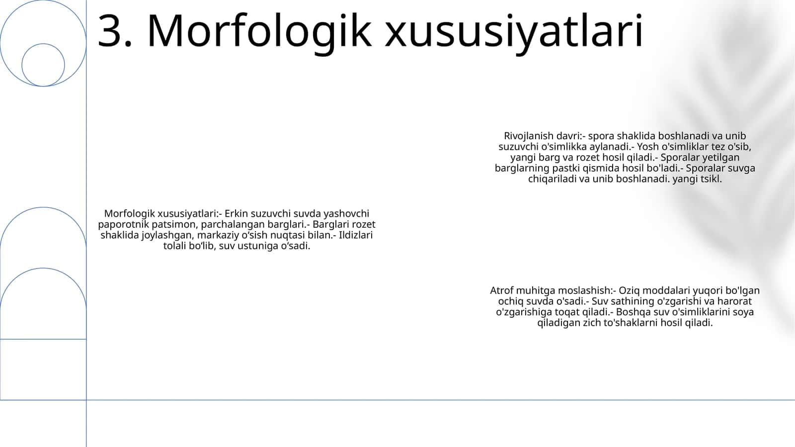 Morfologik xususiyatlari 1
