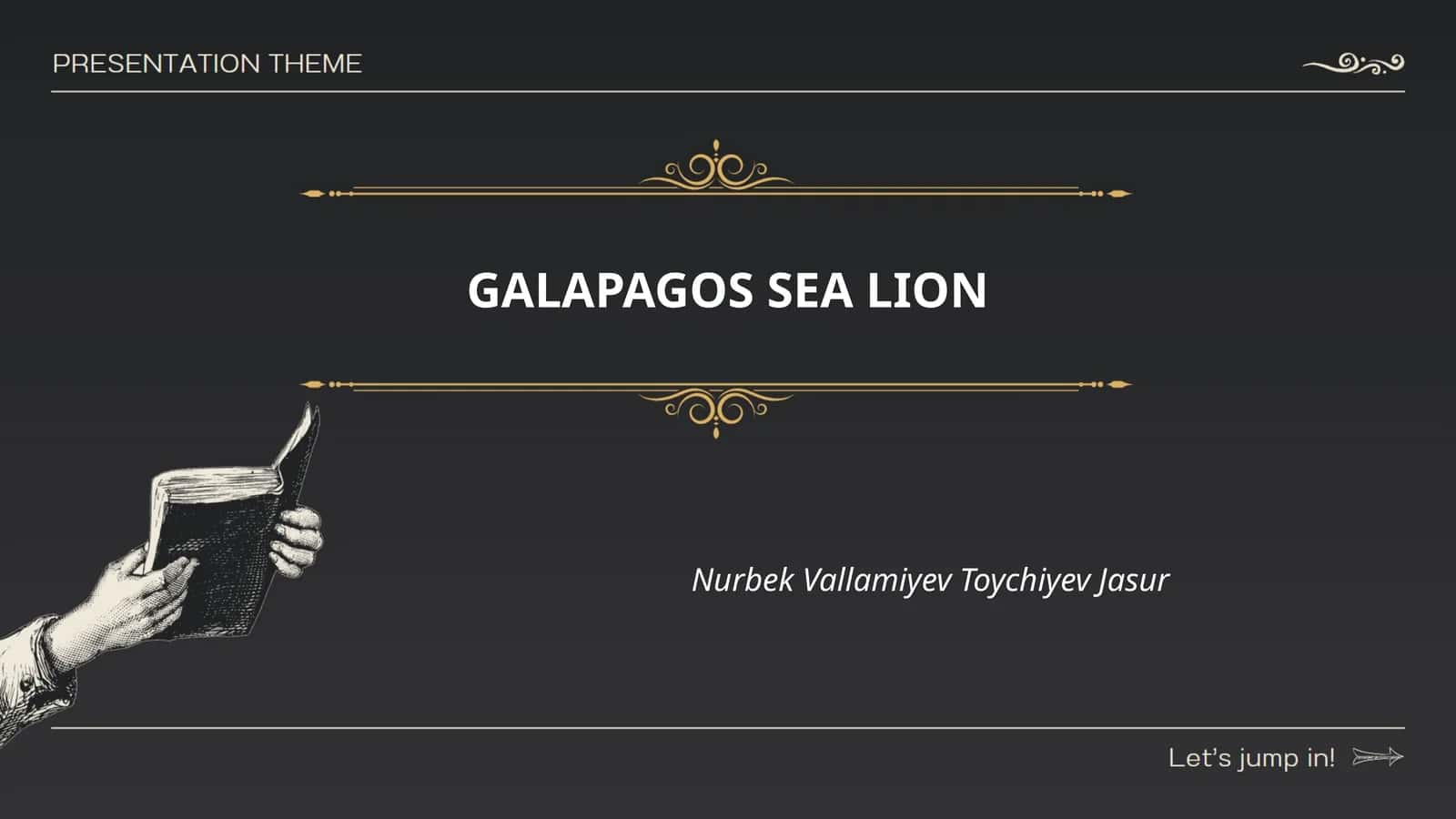 GALAPAGOS SEA LION 1