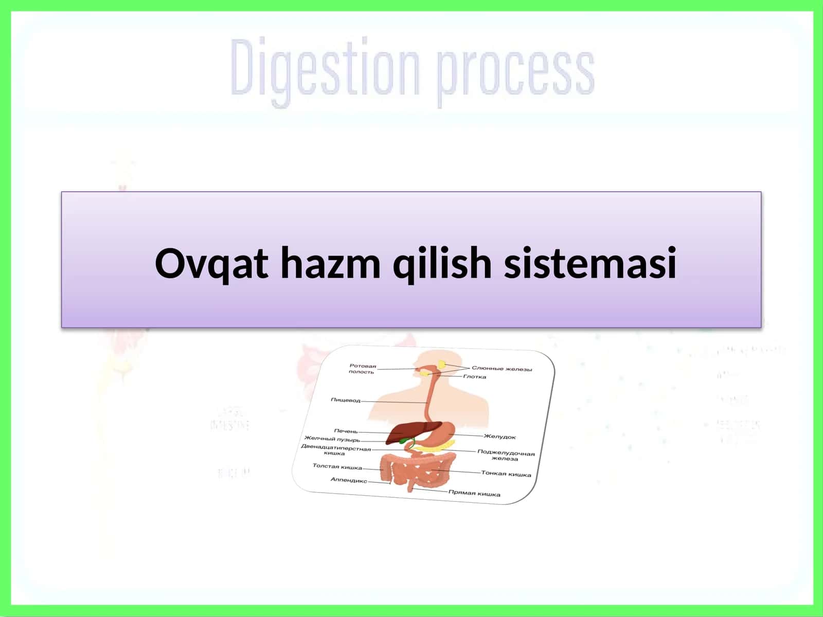 Ovqat hazm qilish sistemasi 1
