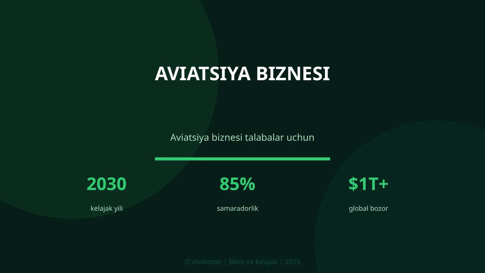 AVIATSIYA BIZNESI 1