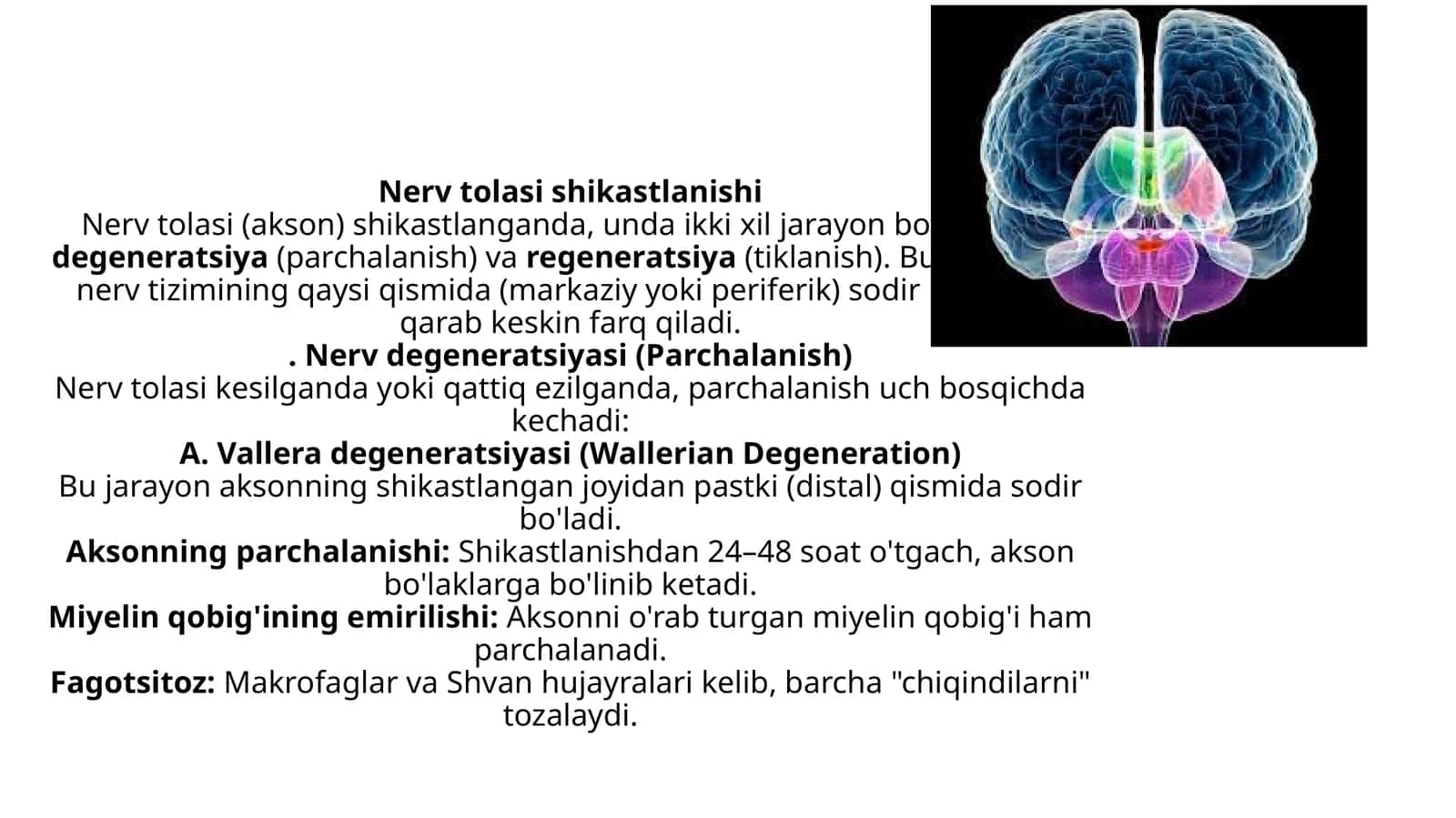 Nerv tolasining shikastlanishi 1
