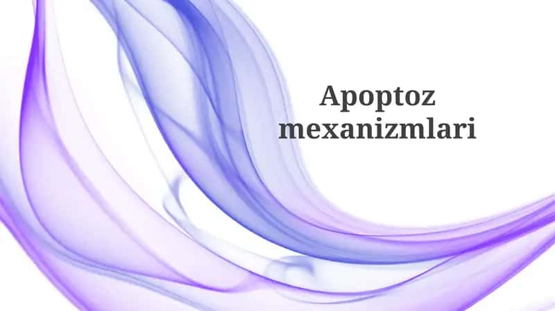 Apoptozmexanizmlari 1