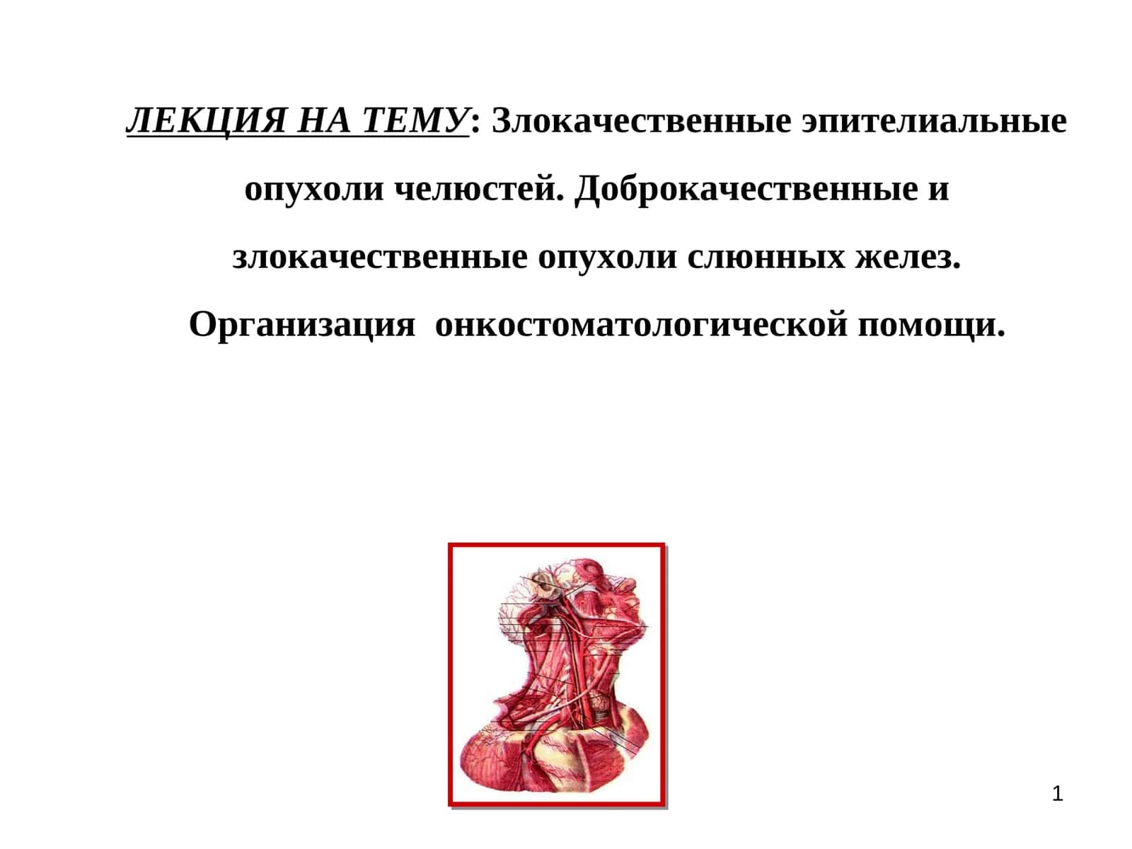 Злокачественные эпителиальные опухоли челюстей 1