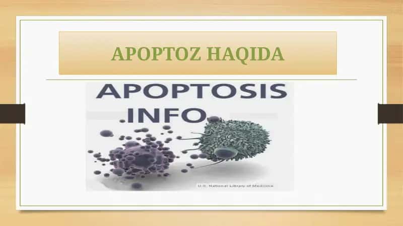 Apoptozhaqida 1