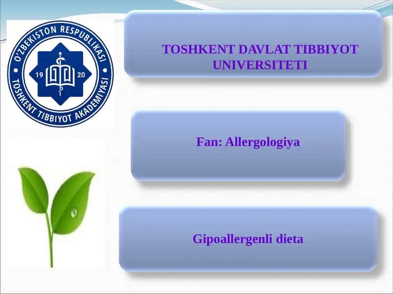 Gipoallergenli dieta 1