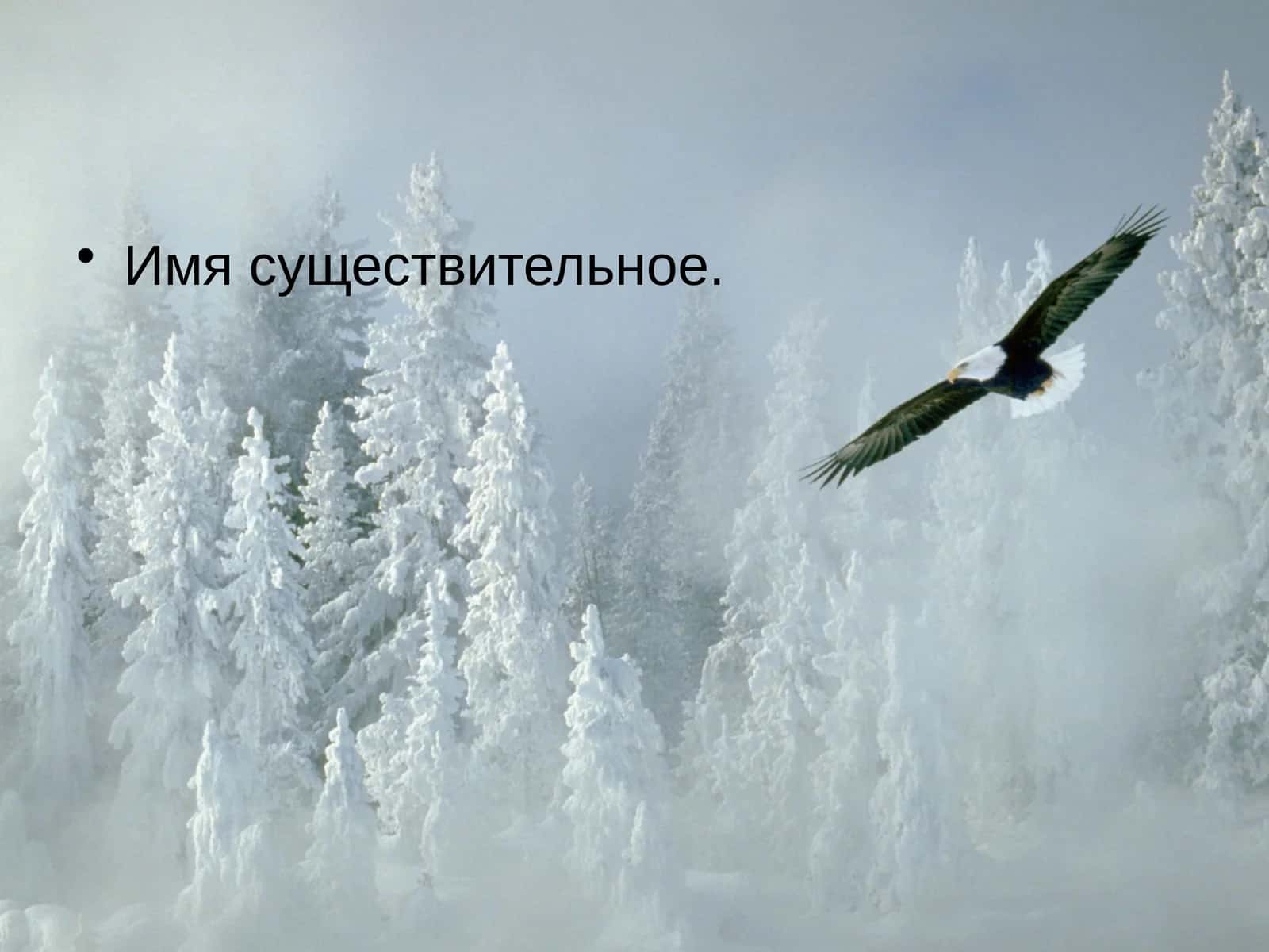 Имя существительное 1