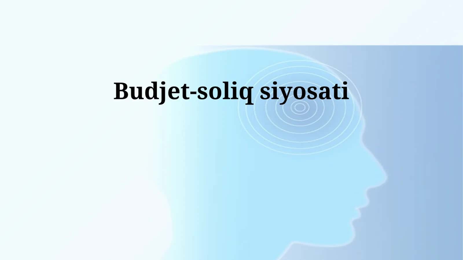 Budjet-soliq siyosati 1