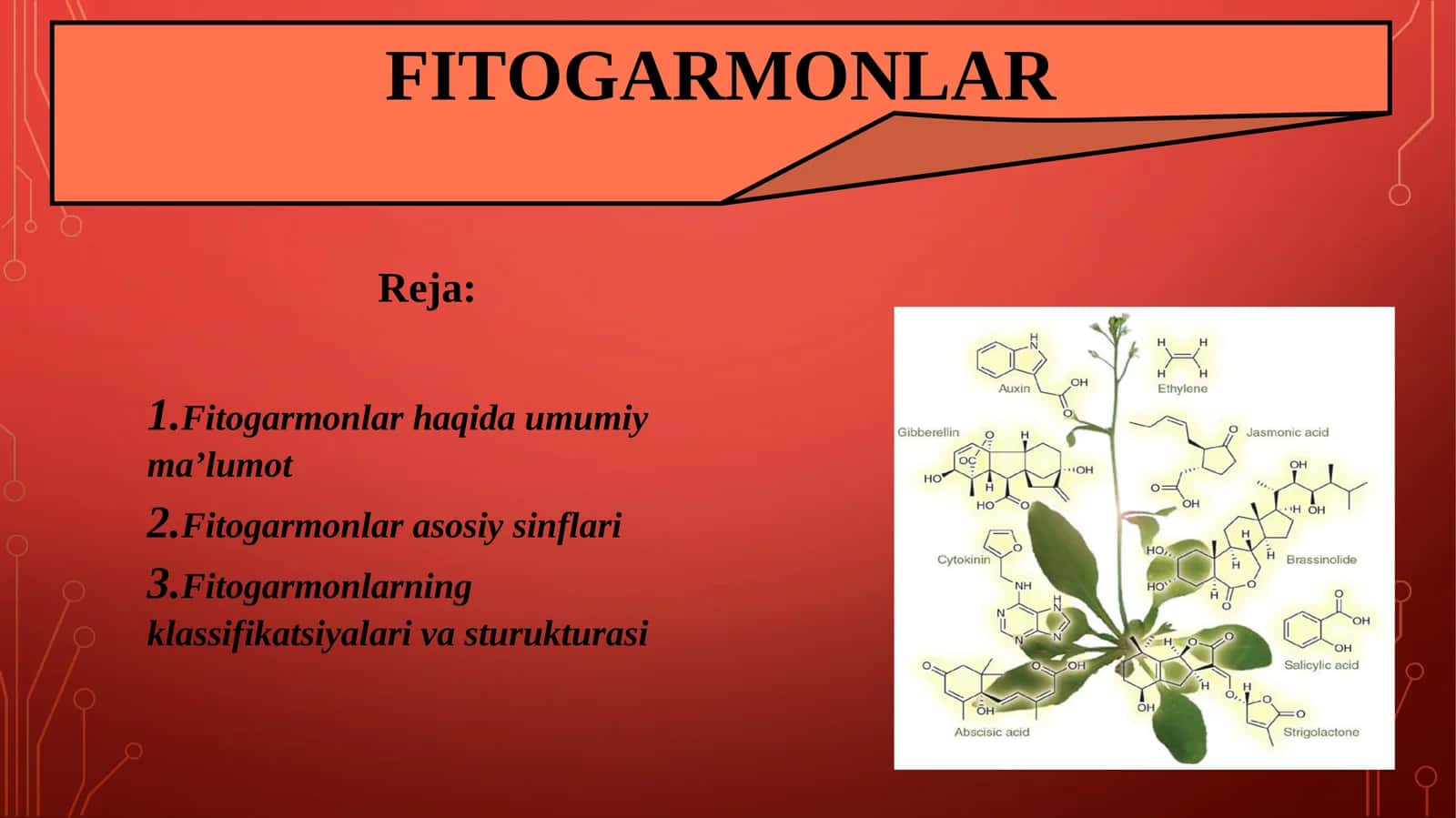 Fitogarmonlar 1