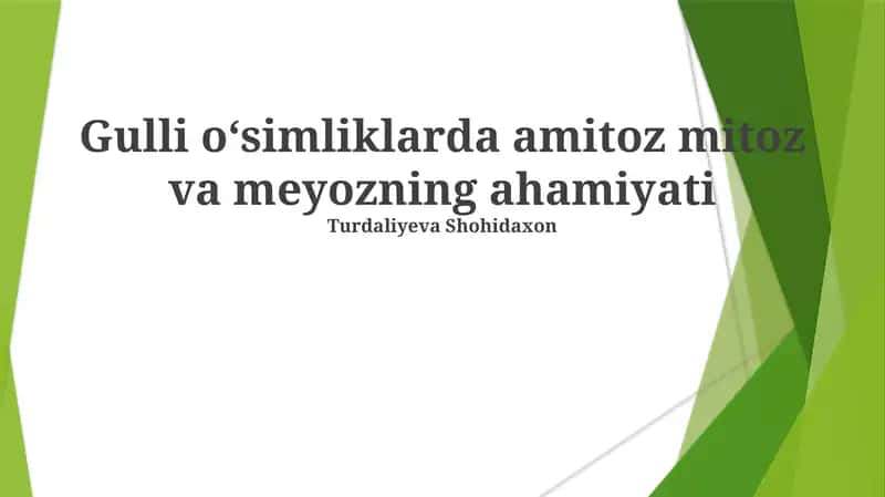 O'simliklarda Amitoz, Mitoz va Meyoz Ahamiyati 1