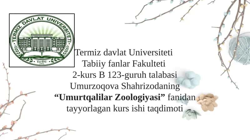 Umurtqalilar Zoologiyasi 1