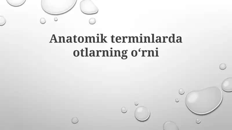 Anatomik terminlarda otlarning oʻrni 1