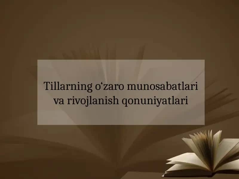 Tillarning o‘zaro munosabatlari va rivojlanish qonuniyatlari 1