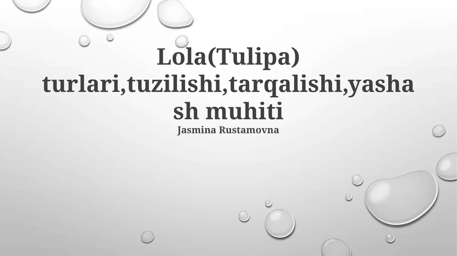 Lola (Tulipa) turlari 1