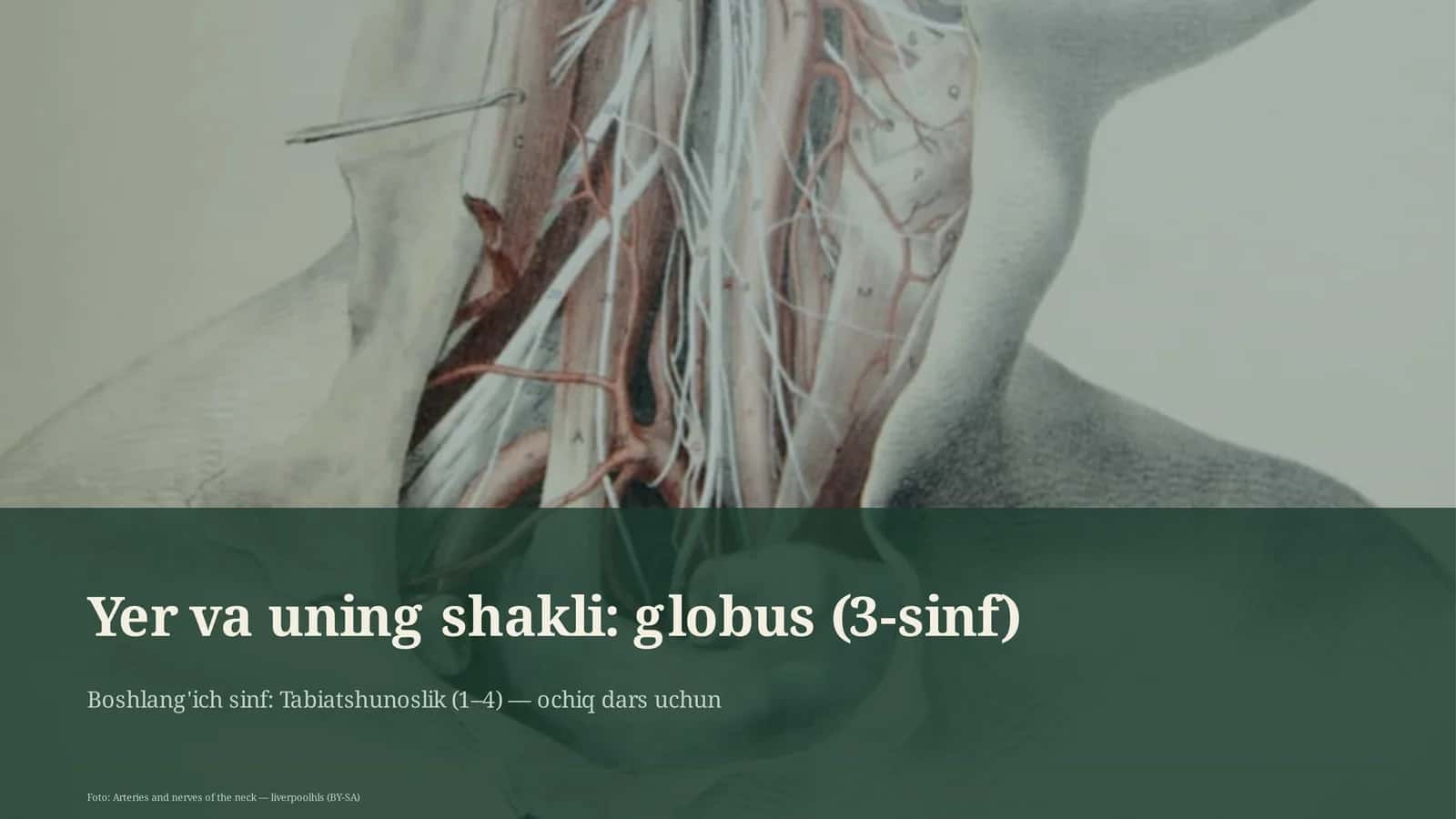 Yer va uning shakli: globus (3-sinf) 1