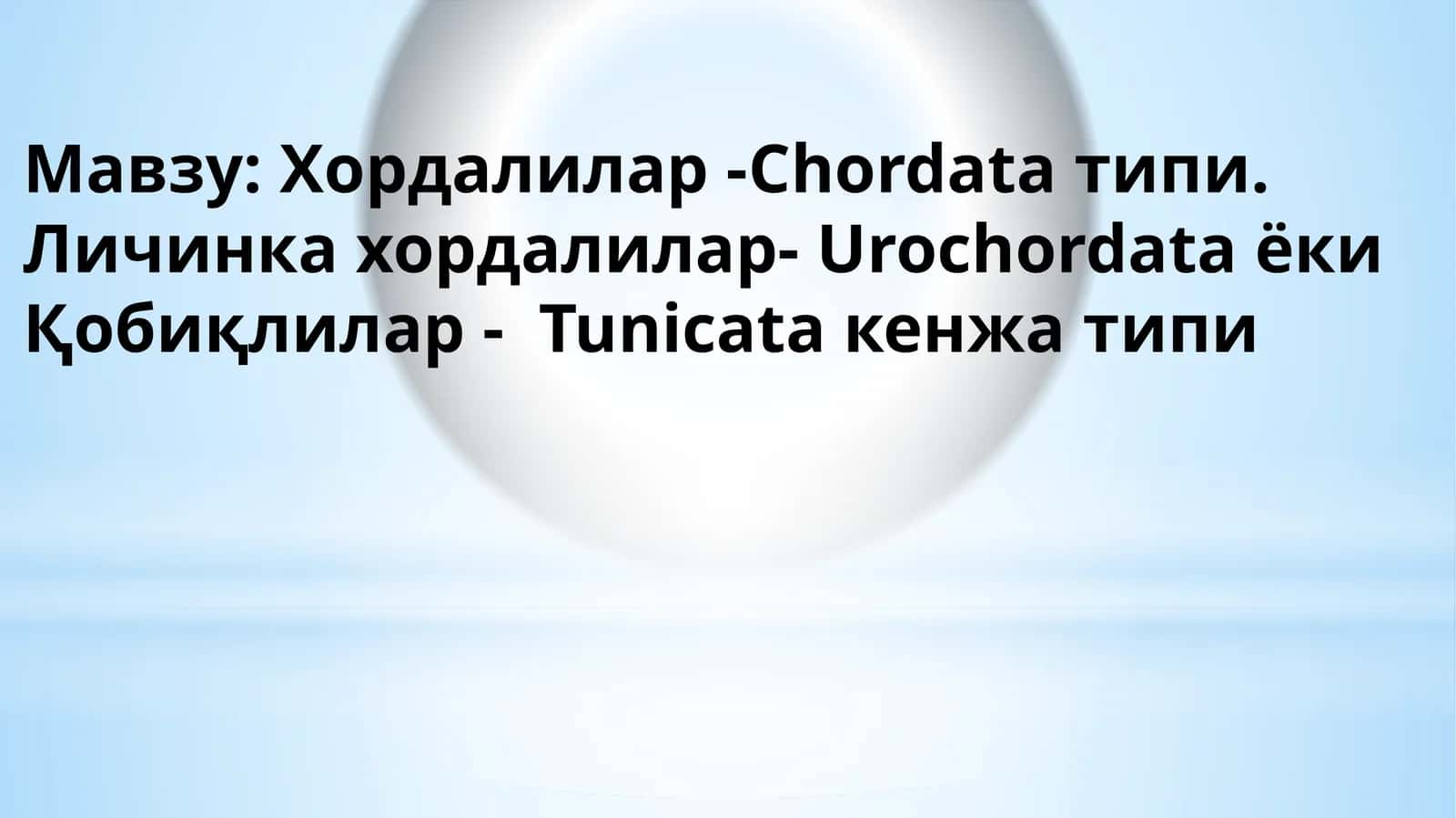 Хордалилар - Chordata типи 1