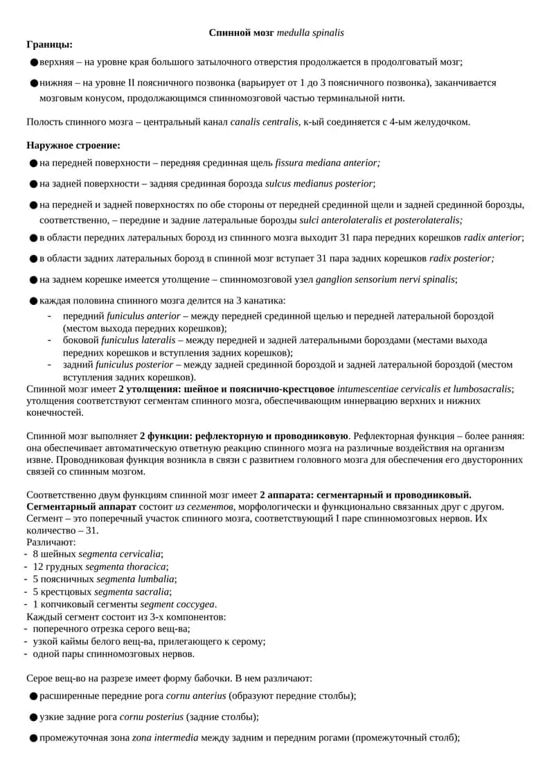 Спинной мозг medulla spinalis 1