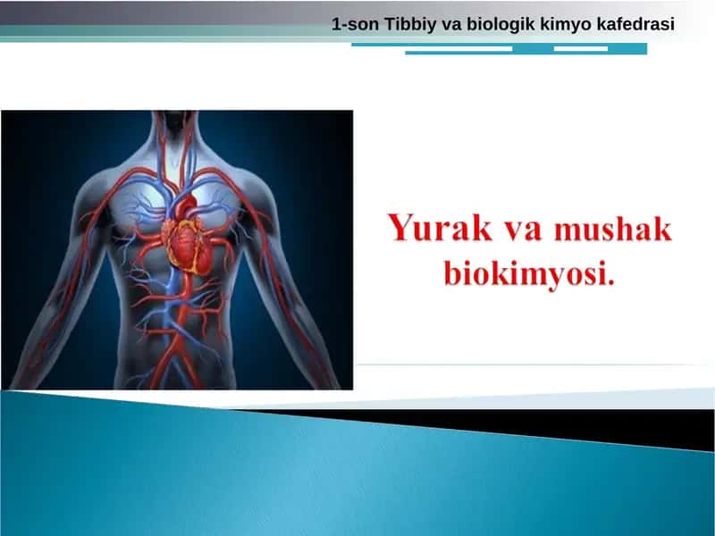 Mushak biokimyosi 1