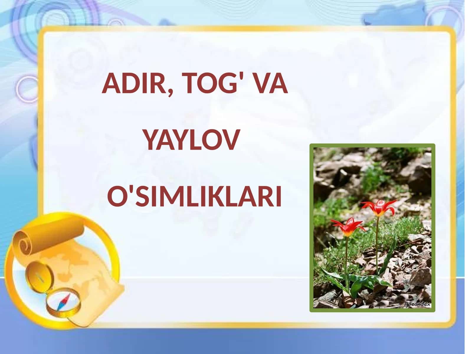 6-sinf Botanika dars ishlanma. Adir, tog' va yaylov o'simliklari 1