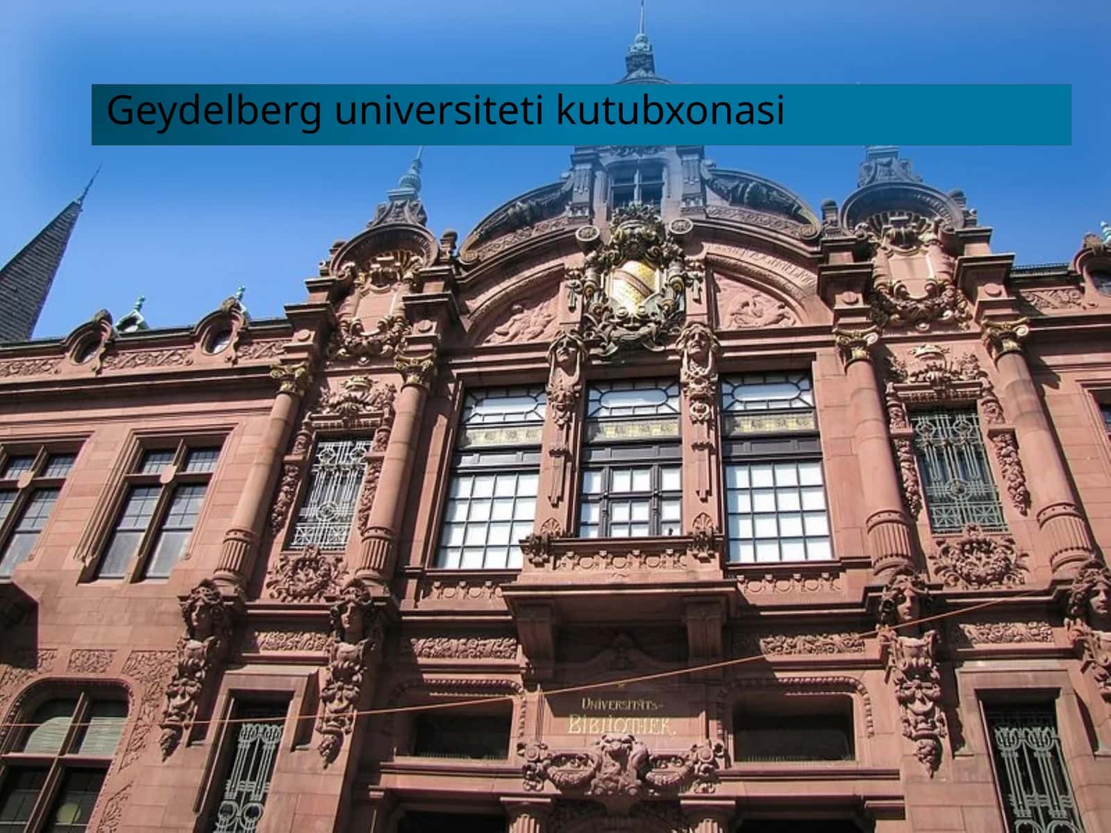 Geydelberg universiteti kutubxonasi 1