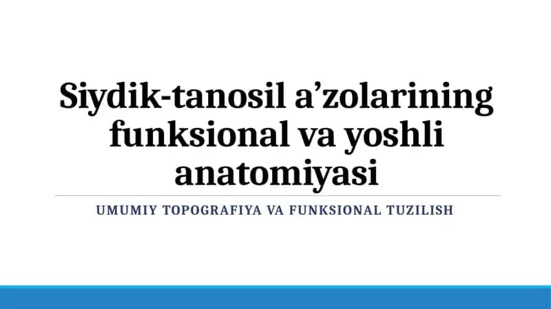 Siydik-tanosila'zolarining funksional vayoshlianatomiyasi 1